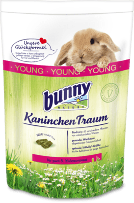 bunny KaninchenTraum young
