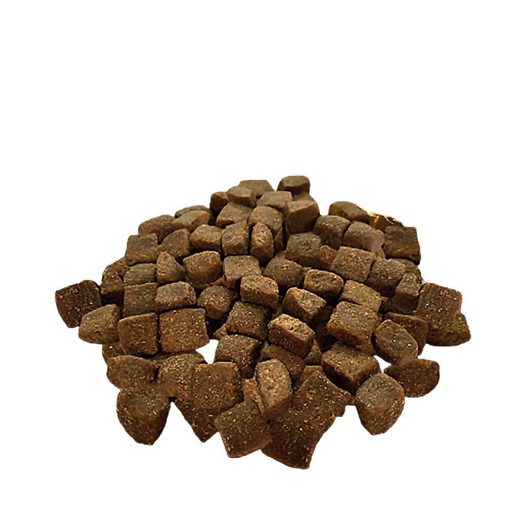 Insectsnacks Cubes