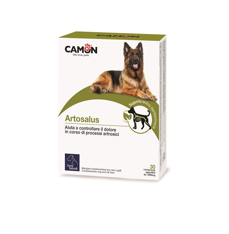 Orme Naturali Care - Artosalus (Tabletten)