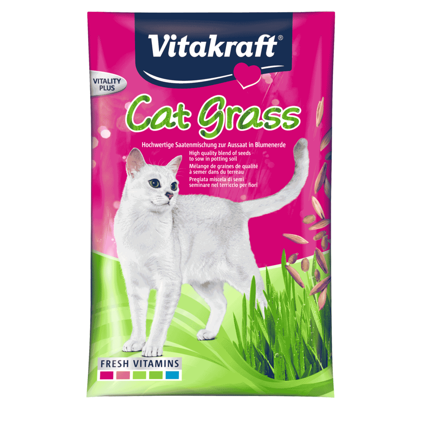 Cat-Gras Saatenbeutel 50 g
