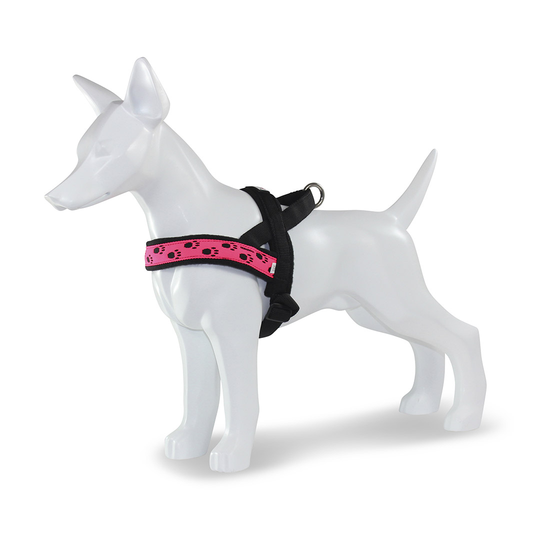 PERRO Norweger Geschirr