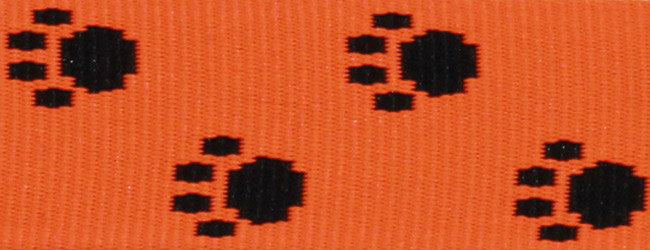 neon-orange mit schwarzen Pfoten