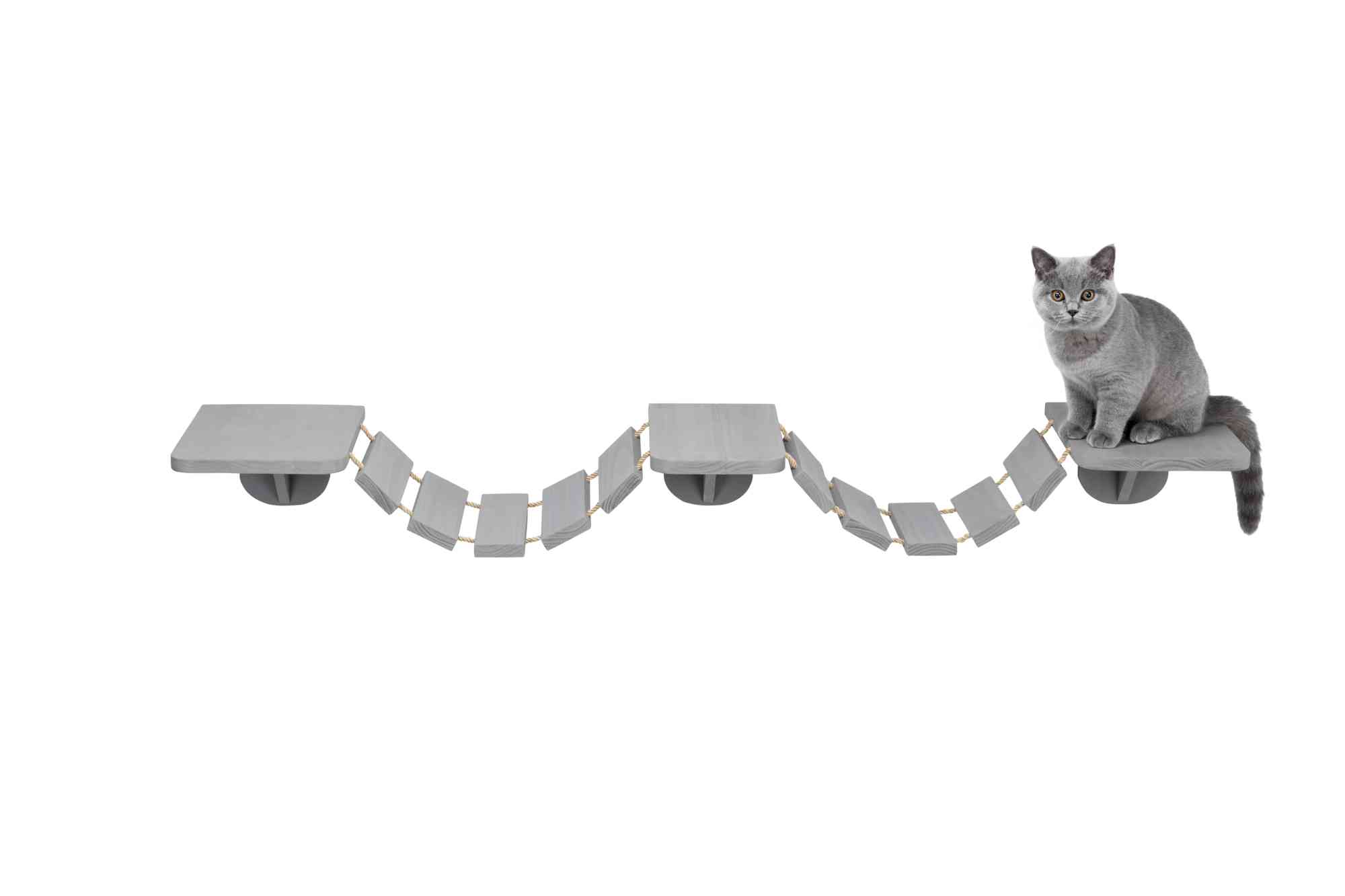 Kletterleiter für Katzen zur Wandmontage