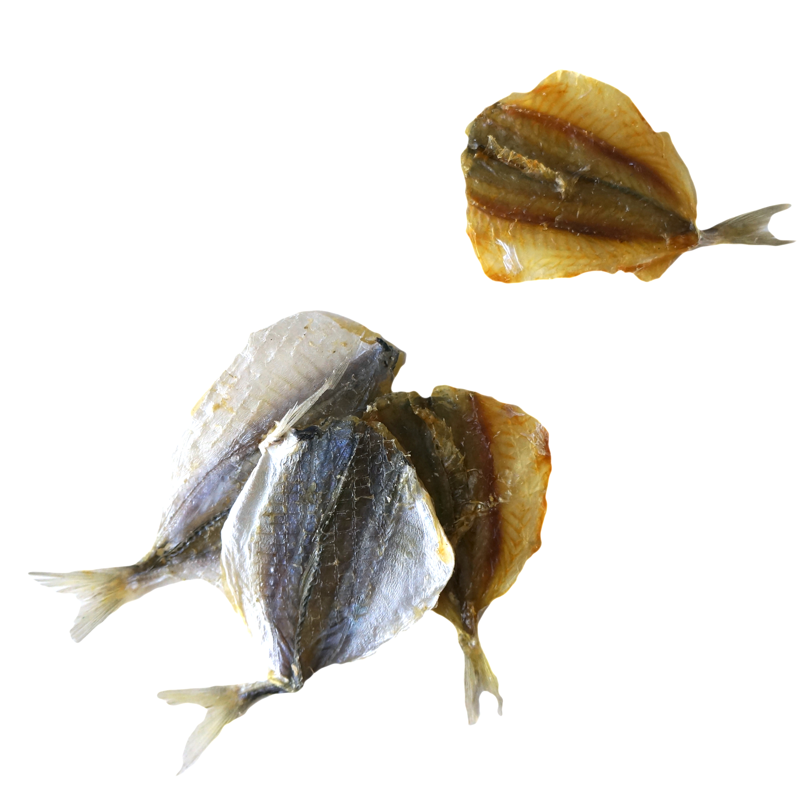 Island Fisch Goldband Selar