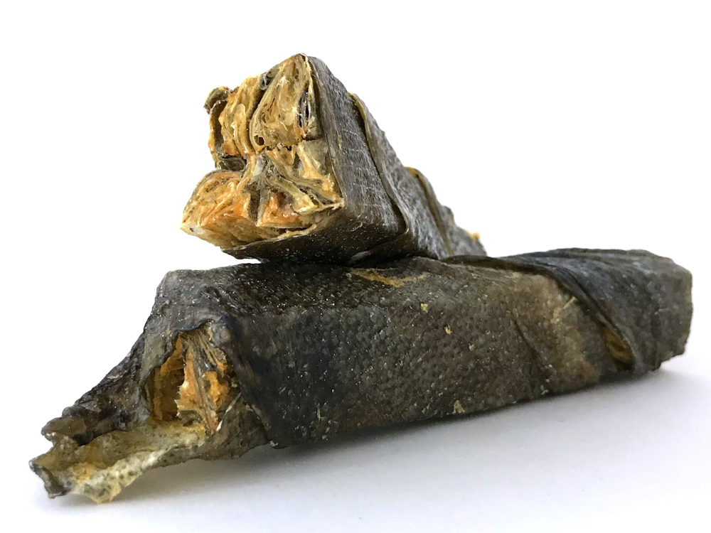 Island Fisch Steinbeisser Kaustangen