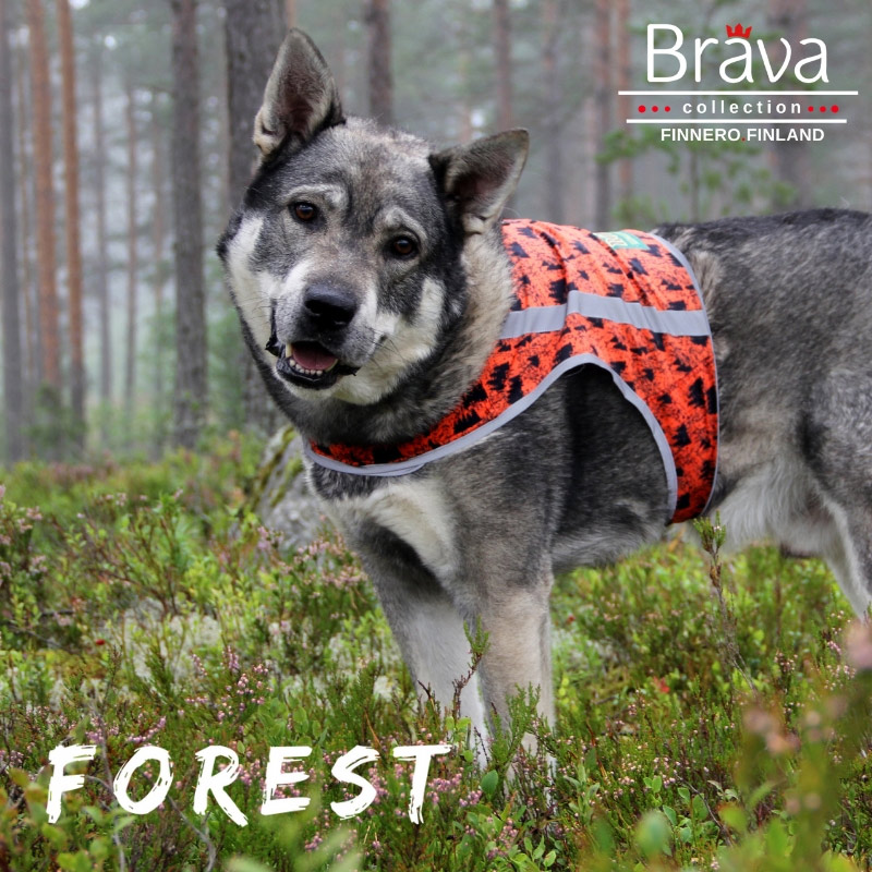 FOREST Hunde Sicherheitsweste