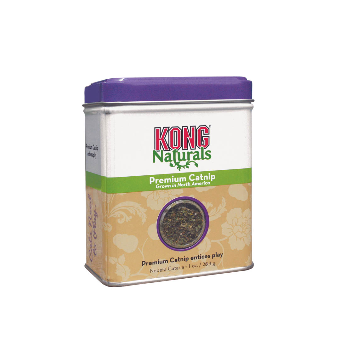 Kong Katzenminze