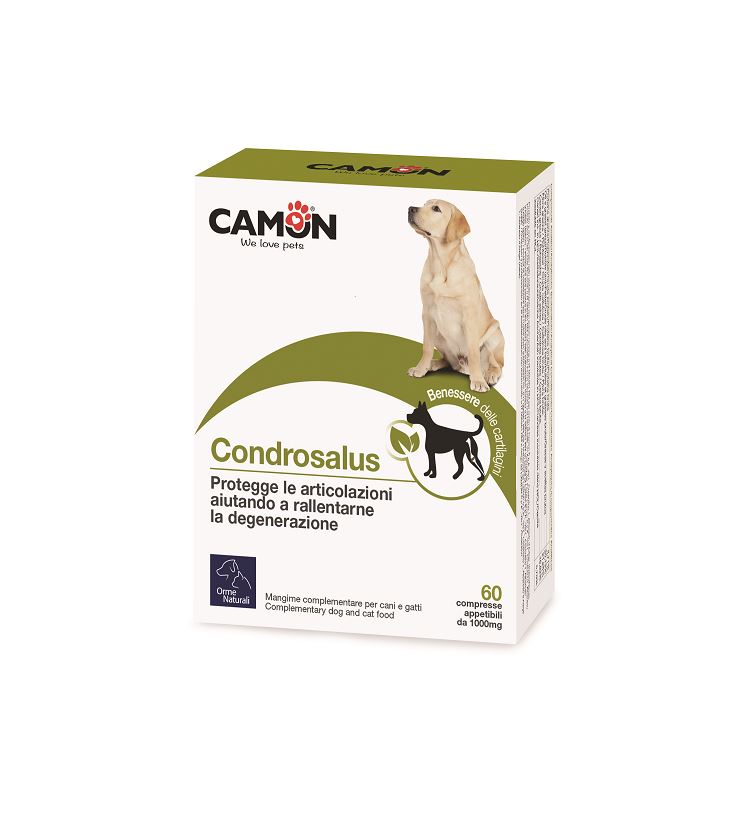 Orme Naturali Care - Condrosalus (Tabletten)