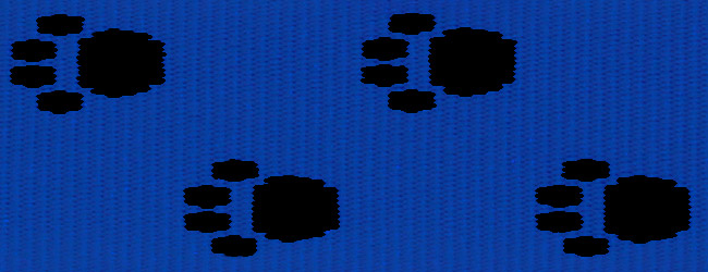 blau mit schwarzen Pfoten