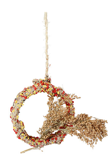 Native Snacks Ring mit Rispenhirse