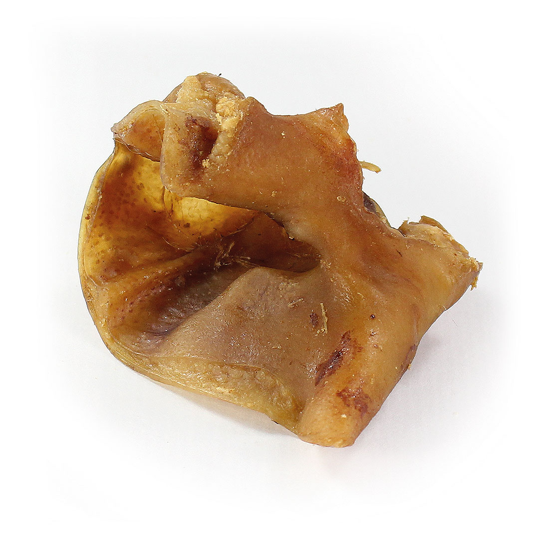 Ohrmuscheln vom Schwein