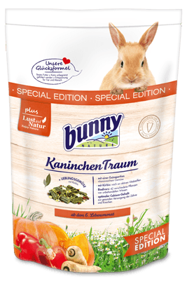 bunny KaninchenTraum Special Edition