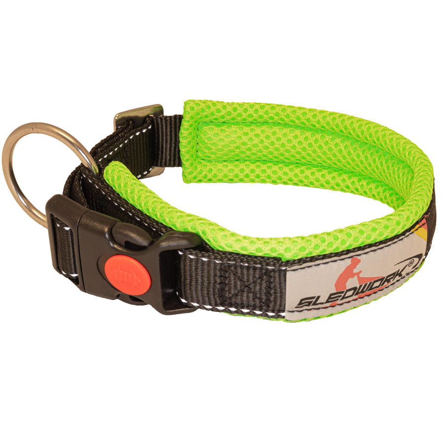 Halsband "Racing Collar Arctic Click"