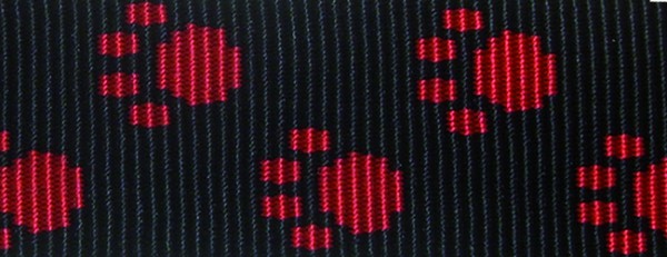 schwarz mit roten Pfoten