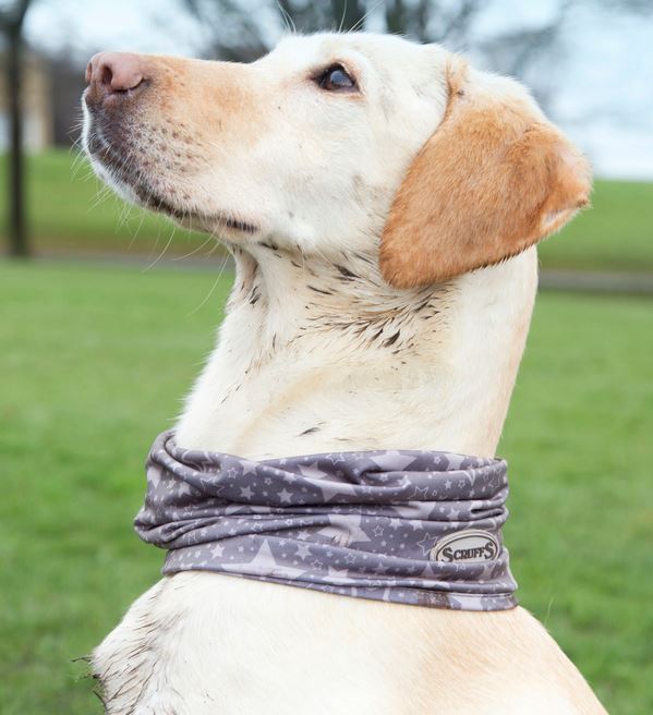 Insect Shield Doggy Snood Halstuch