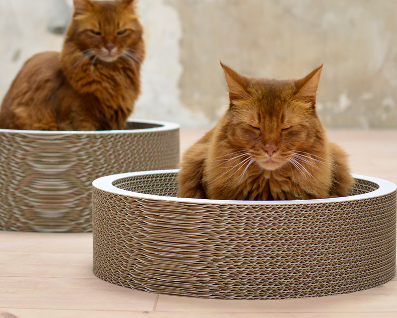 Cat-on Kratzmöbel La Coupe