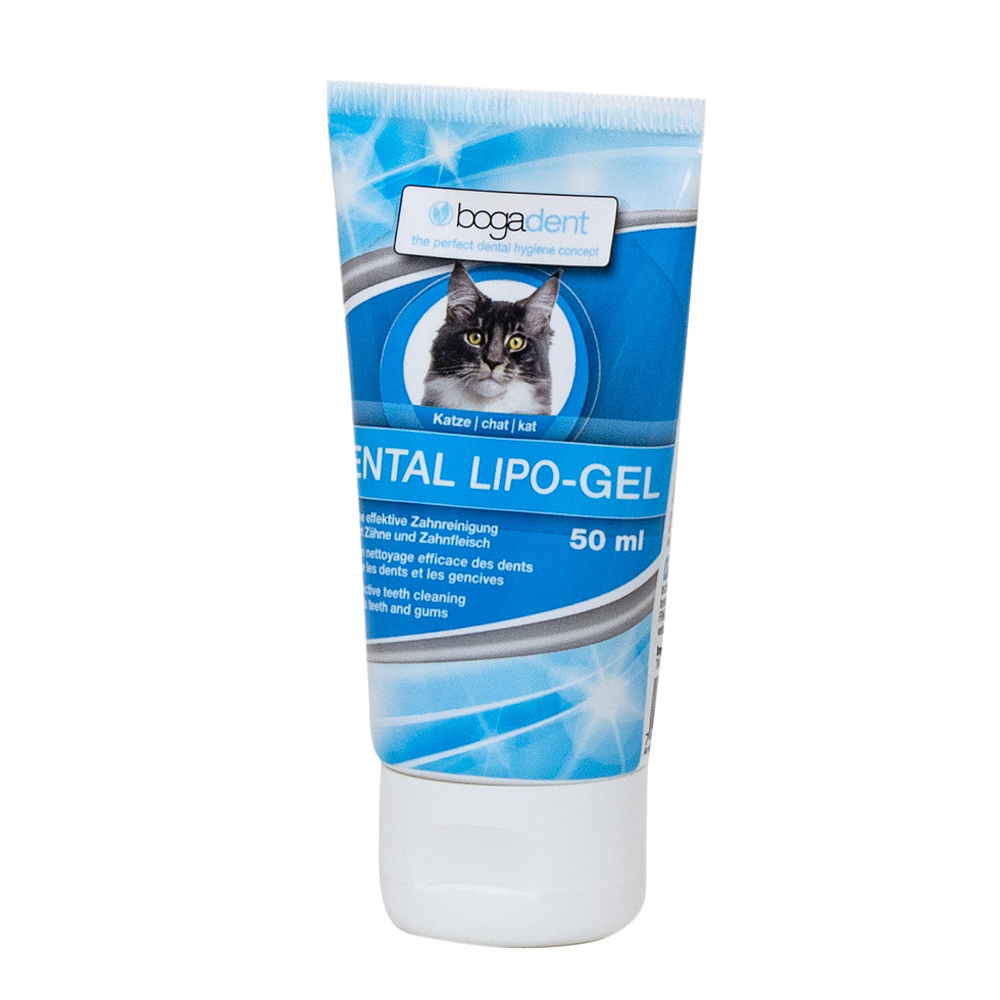 bogadent DENTAL STARTER SET Katze