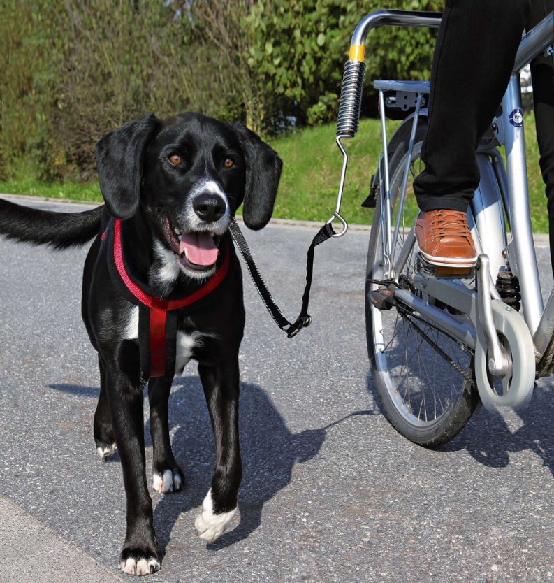 Biker-Set für große Hunde