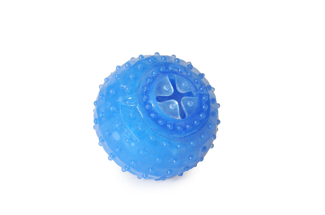 Hundespielzeug "Freeze" Arctic Fun