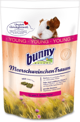 bunny MeerschweinchenTraum young