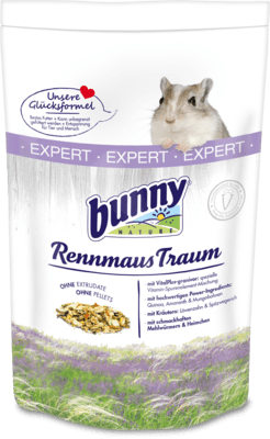 bunny RennmausTraum Expert