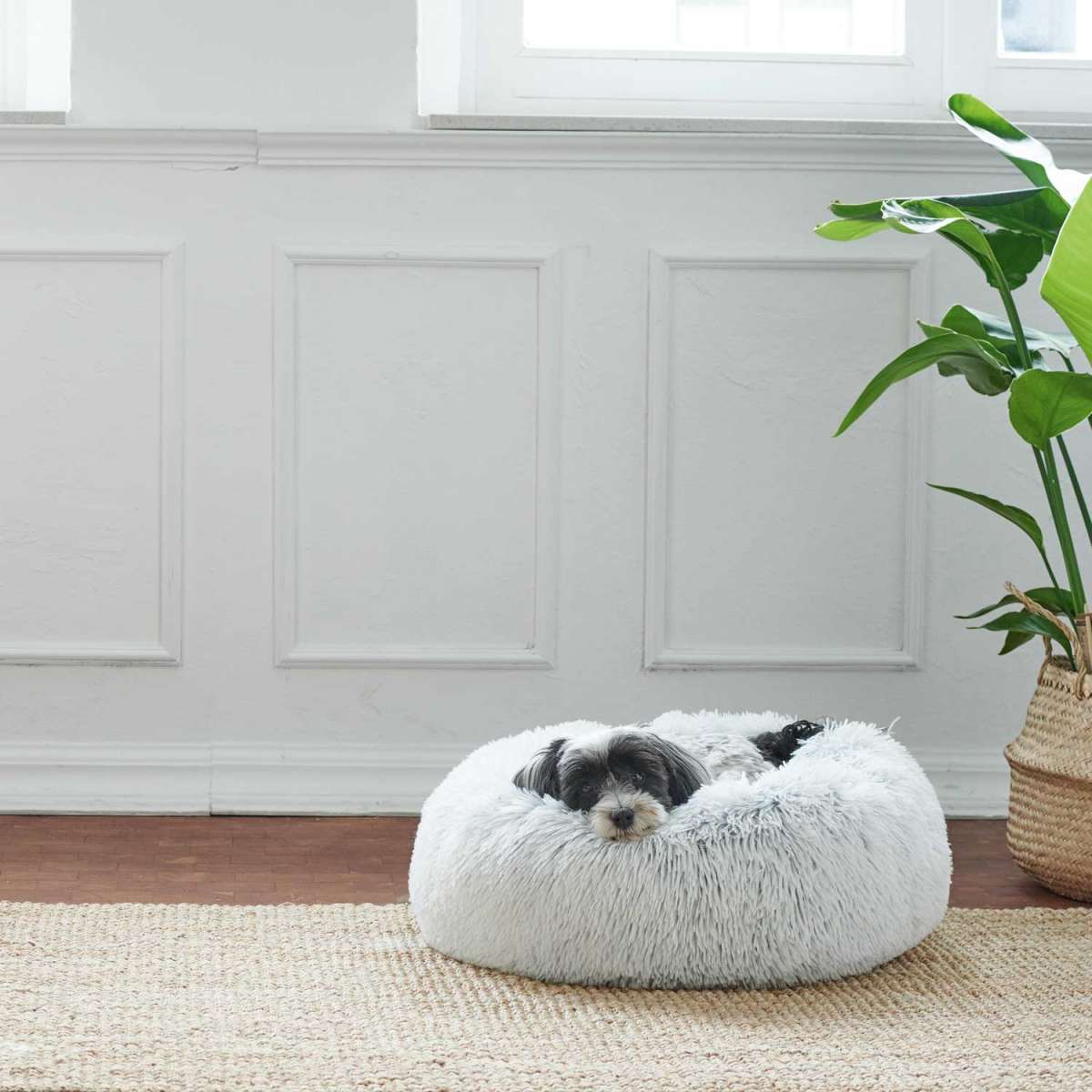 Hunde- und Katzenschlafplatz Loppa