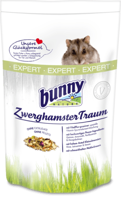 bunny ZwerghamsterTraum Expert