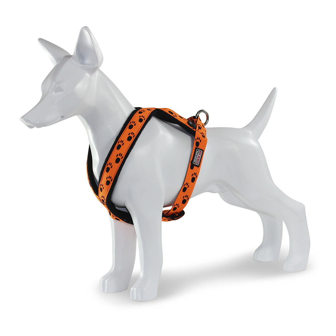 PERRO Touren Geschirr