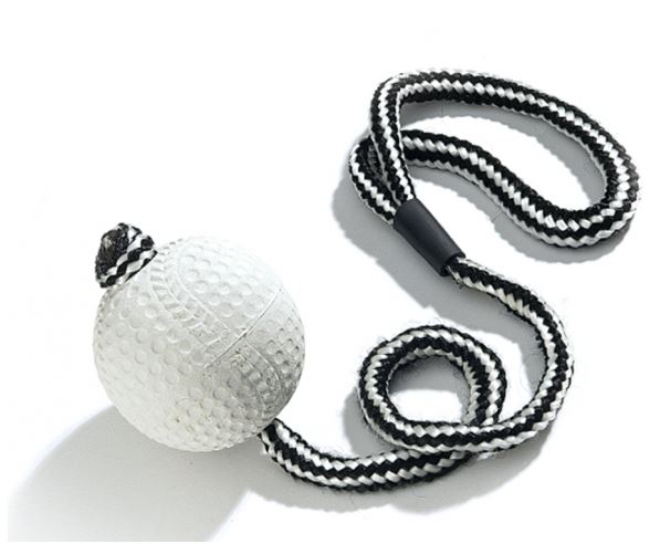 Baseball Ball mit Seil