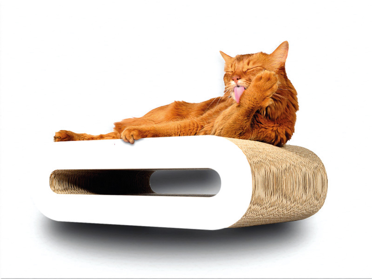 Cat-on Kratzmöbel Le Rouleau