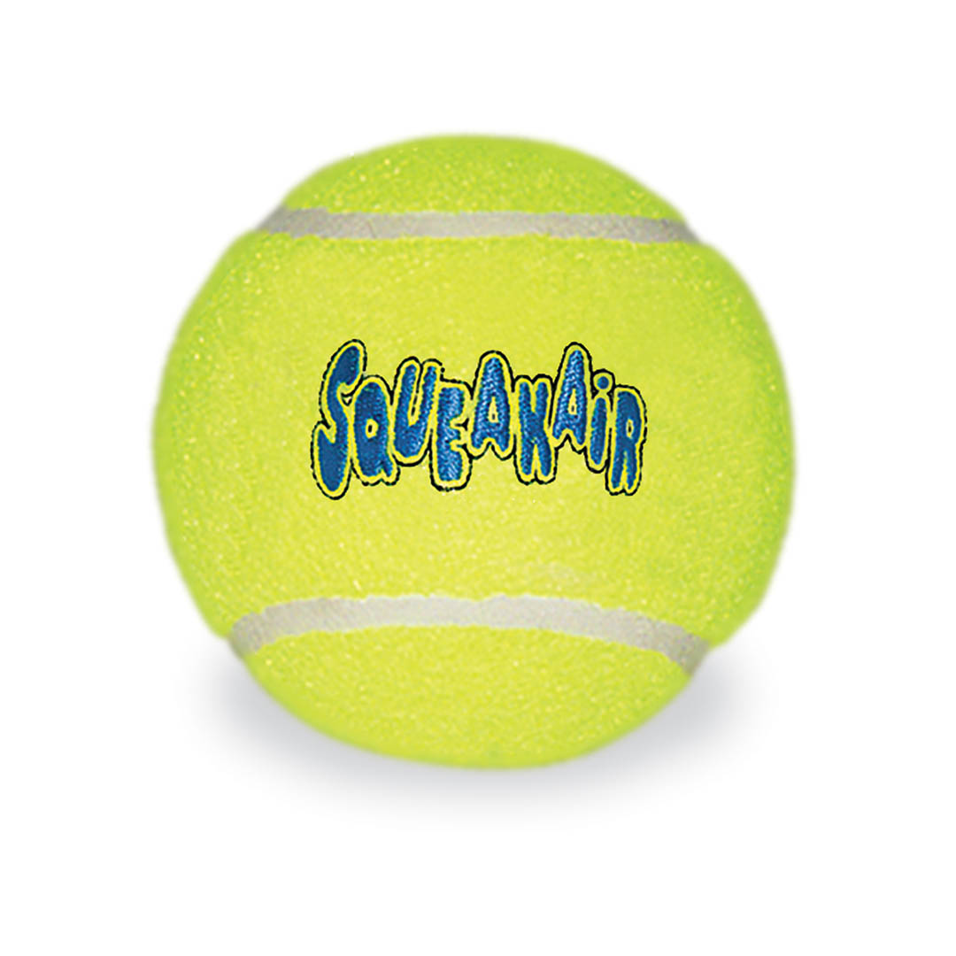 Kong AirDog Squeaker Ball