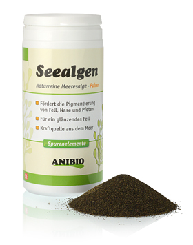 ANIBIO Seealgen