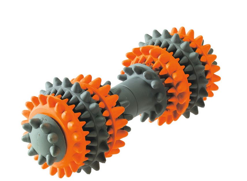 Hundespielzeug Tooth Cleaner